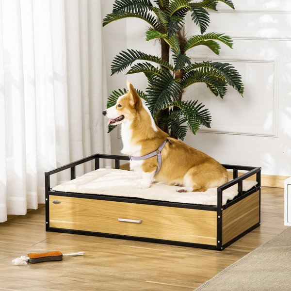 Wayfair canada best sale dog beds